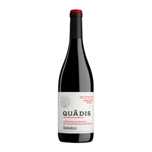 Botella de Quadis Tinto Crianza